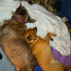 Meet your Posher, Timmy